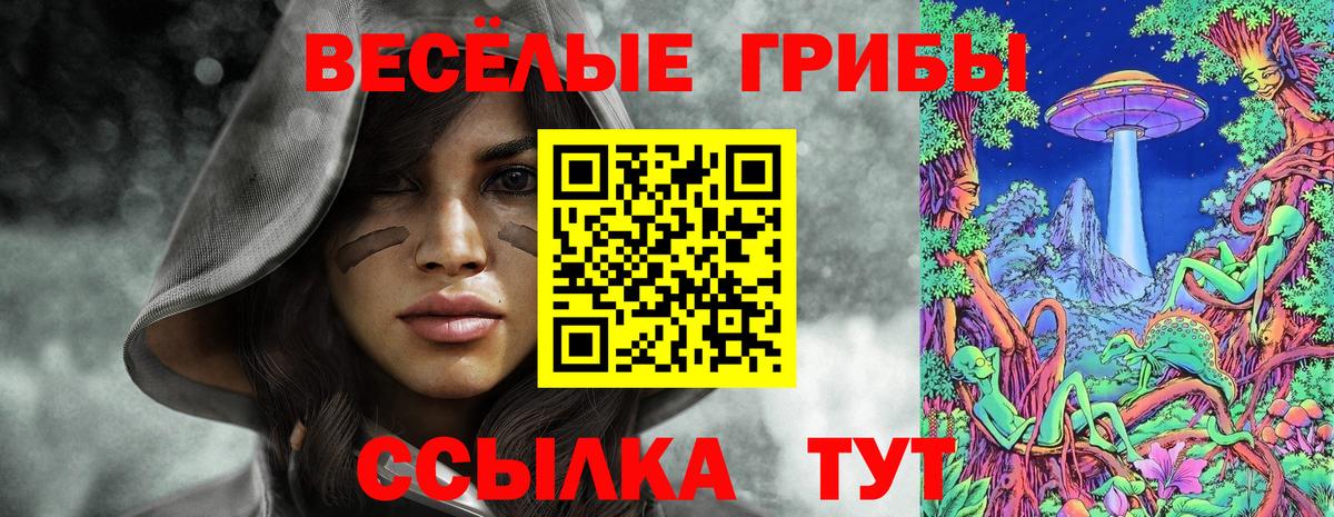 Галлюциногенные грибы мухоморы Владимир