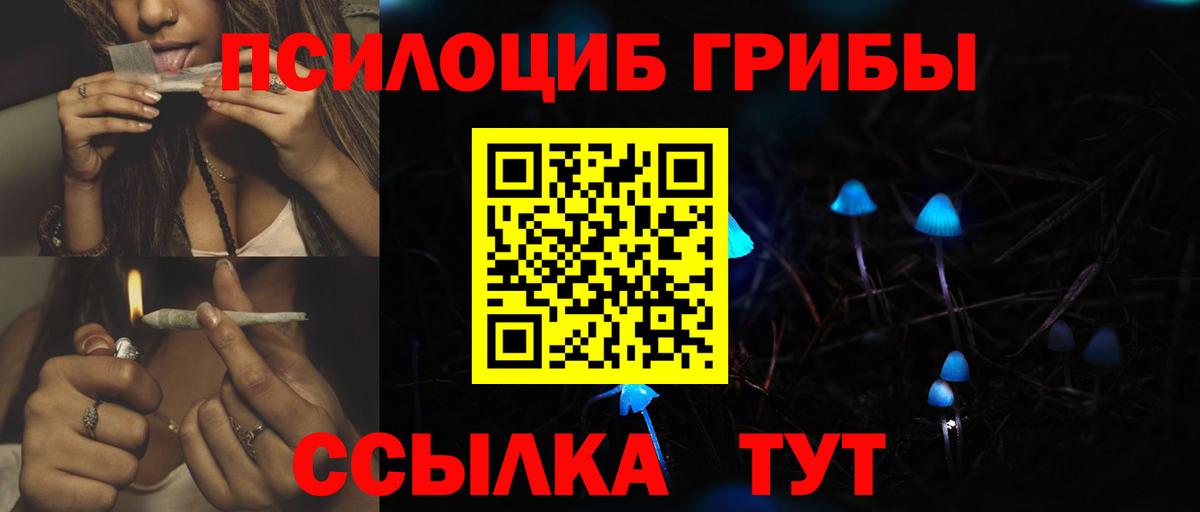 Владимир  Галлюциногенные грибы Psilocybine cubensis  Галлюциногенные грибы мухоморы  Вход с VPN 
