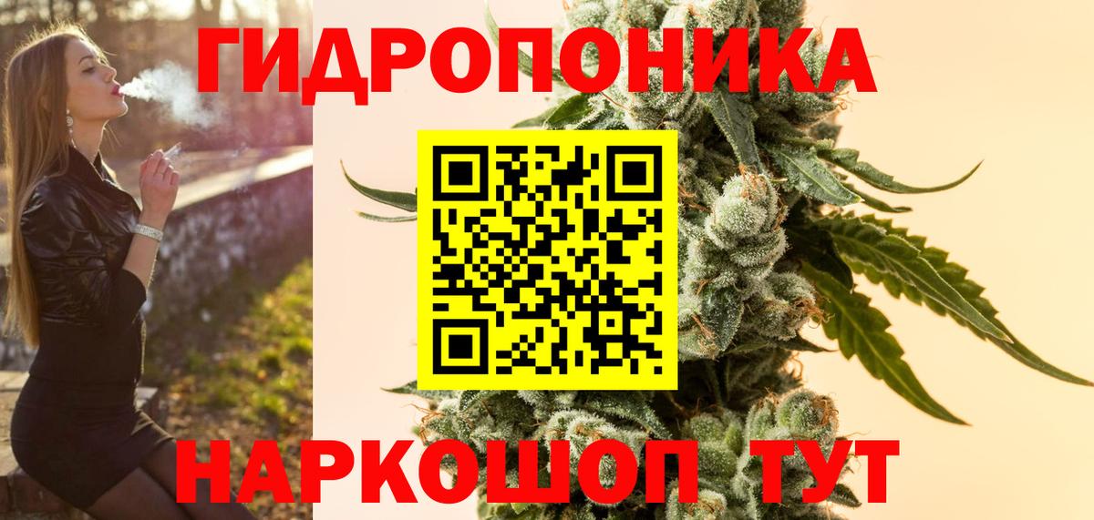Бошки марихуана конопля  Каннабис MAZAR  Владимир  Вход с VPN 